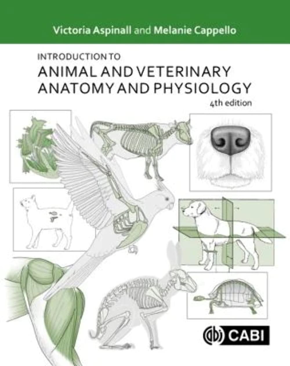 Introduction to Animal and Veterinary Anatomy and Physiology [OP